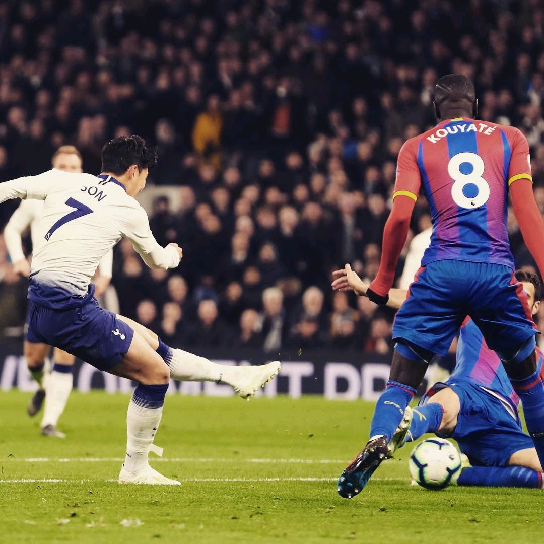 拉菲尼亚的 拉菲尼亚的